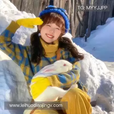 何鹰辉